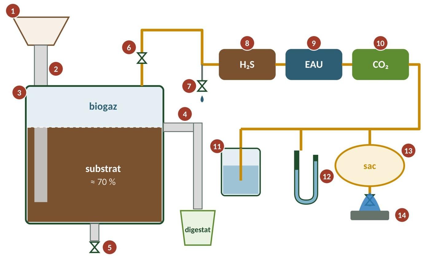 Schéma d’un biodigesteur continu étudié pendant la formation
